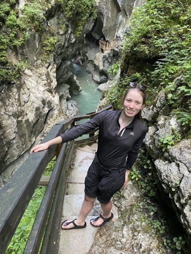 e6550768-e73b-4f6e-b0fc-ce4bb4968f01