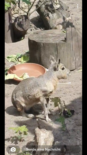 e9361971-37d8-40b9-afb3-759acf3b786b