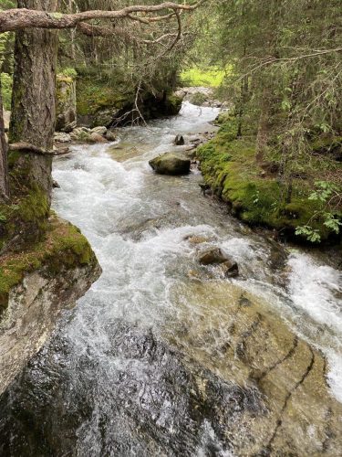 f04f4378-601a-4c36-b796-a5312df1cf83