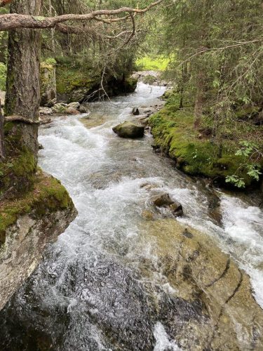 f42eda1d-dc42-4e02-9306-ea3fb716e556