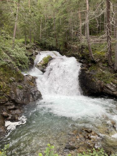 fc751bac-5a29-4255-a929-37efe600a8ac