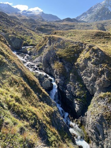 2f3be49a-6cf7-431f-9e71-b410c8f07032