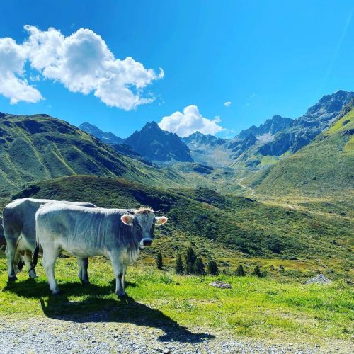 5cf65c2f-84a4-431d-a045-4365ec8e0e17