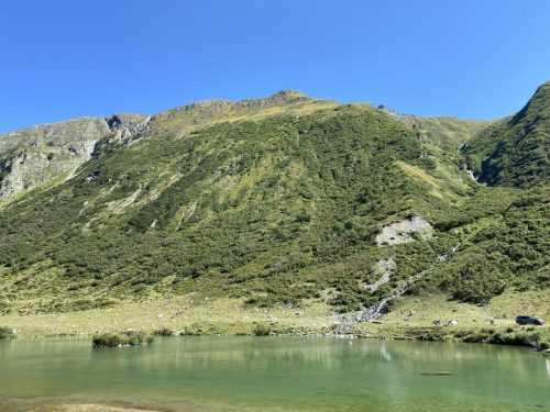 76a8cf8a-c959-4363-a4e1-70d0c39938ec