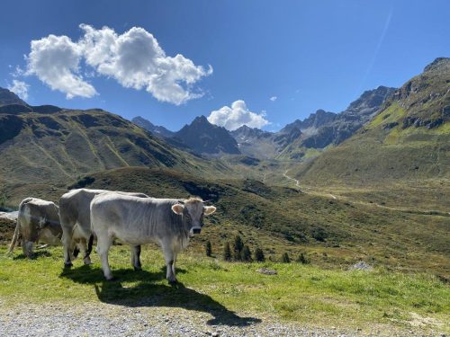 a4676e05-7f74-41d3-bfbb-fed59eaad8ec