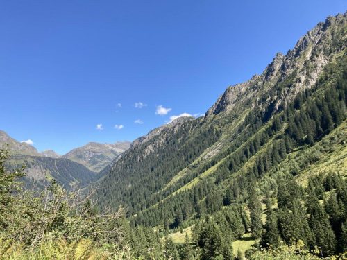 a49bbcc1-eb86-41af-ae5b-60c8a05bdee4