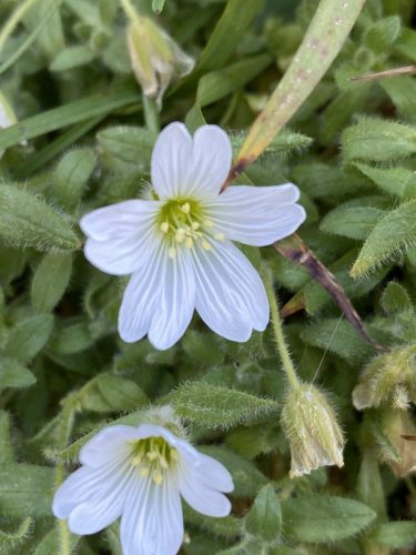 a8346cff-14b1-47c4-8220-e8bc0805104b