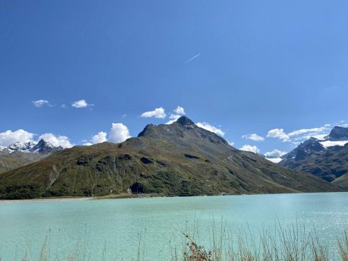 b0d63977-abe1-495d-8184-863ed1c46483