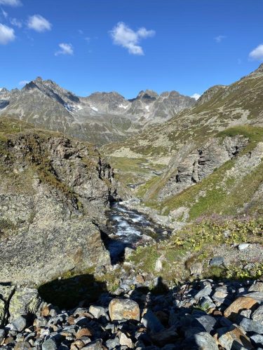 c4aa6923-39dd-4f83-ac52-bd4f3c678a02