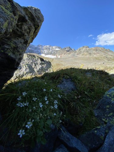 eaf26cdf-9d97-401f-a695-b0f37578ae29