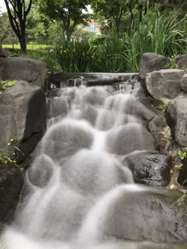 160fb42d-7439-4217-973c-eba1b1e53fea