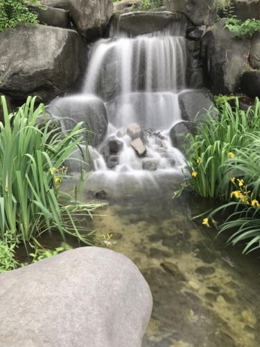 1c2676f7-87c0-4454-9b4f-a4637ab0273e