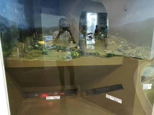 1fdaac76-38e4-4fc0-a149-6fe365519382