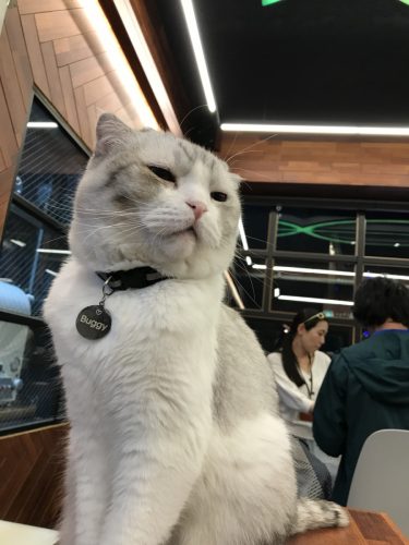 236d3b28-b41f-4174-92d7-e37763b46d54