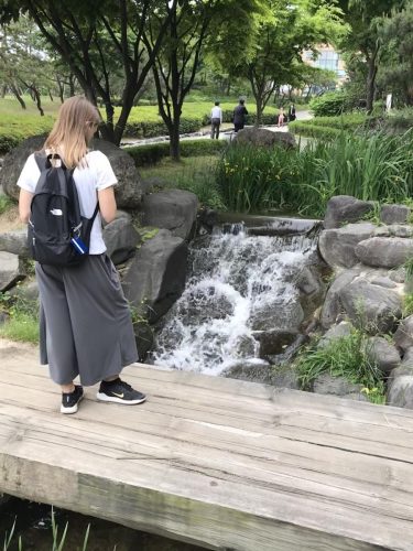 291680eb-d9ed-402b-bdff-4b967f89031f