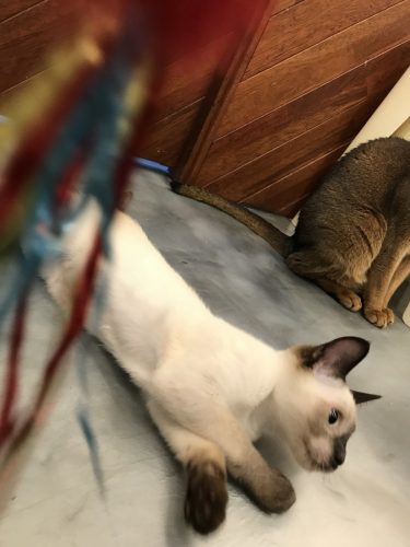 3f29059d-b5fc-4433-9e2a-58e029e5f4e8