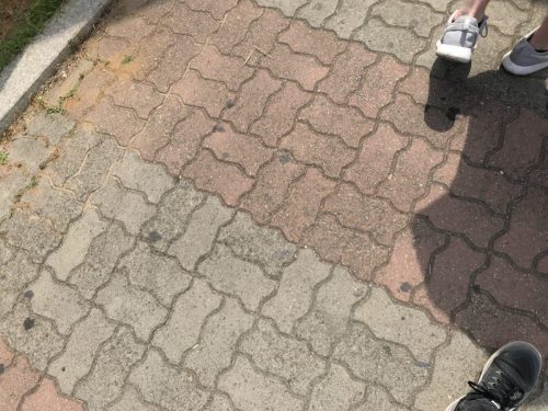 4146fbb6-a31d-45e5-9597-f3c87bcfea20