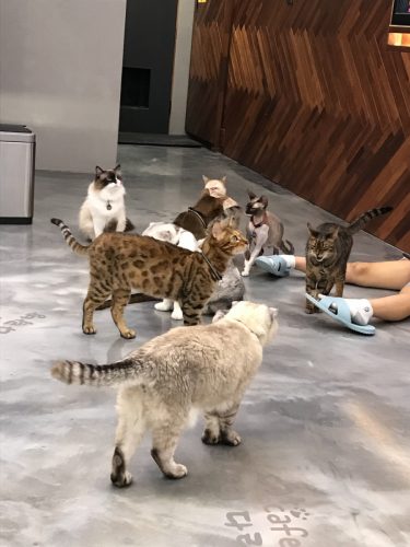 48c99830-d5e5-4d78-85b8-65a2bd11be27