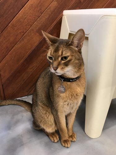 60ae4878-c448-4e0e-bbcf-6a8c60e9f36d