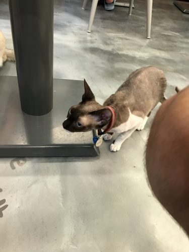 63b9ccc4-1ccd-4088-beb6-b98013b3b0e7