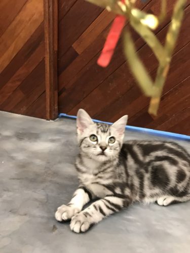 813ae311-a6f3-47c5-940f-d8c1cadeef5a