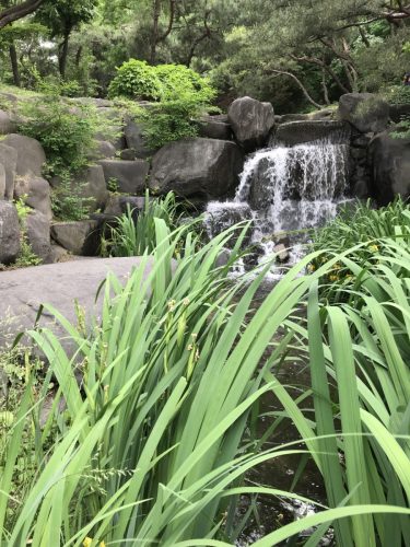 b36a87ab-8e1e-499e-b50a-377bbc0a1607