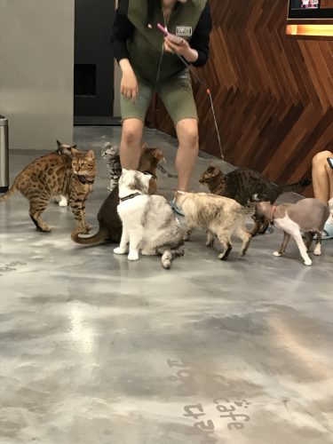 b7b67124-ffe8-42f0-a230-899ec350a4a9