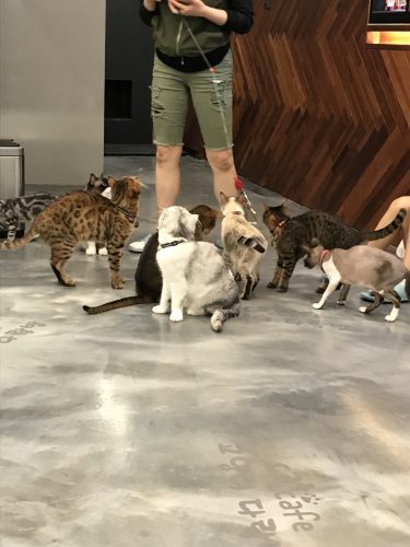 cc27f9ac-6714-4c75-b34a-5bf62bf36796