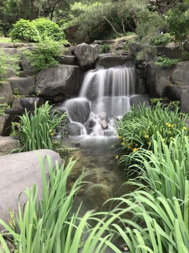 deb507c5-e21d-44f5-a854-447b53ffd11f