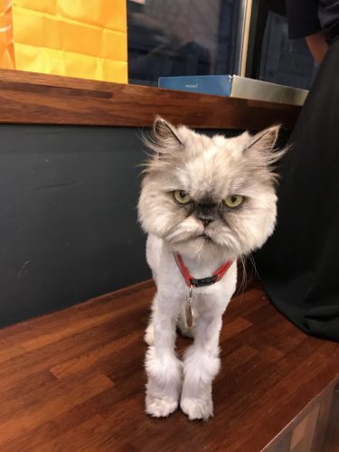 e4e7635b-dd01-4e4a-b67e-c284c6861ed1