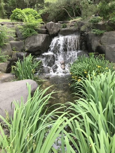 f579b61f-e4a4-4ab1-b6ea-80e4f0403047