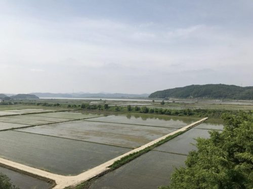 f617493f-813b-44f5-878d-1bb12cc0e0d6