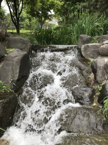 fa86f877-fb6d-4d92-bce9-d13ce70a9ba2