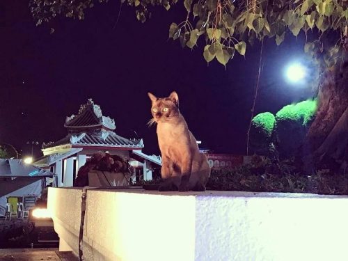 img 20190219 161406 135