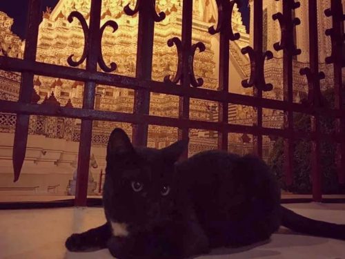 img 20190219 161406 138