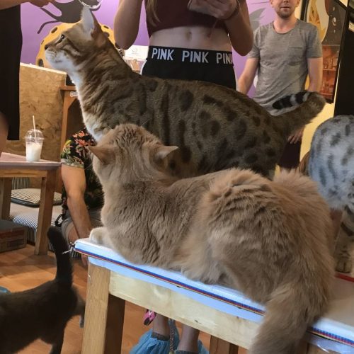 04883cc4-84f9-4c7c-8abe-15767739578a