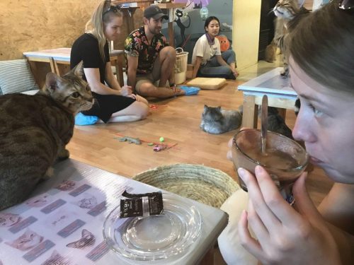 06621034-1c60-44a3-950e-c6755aba0530