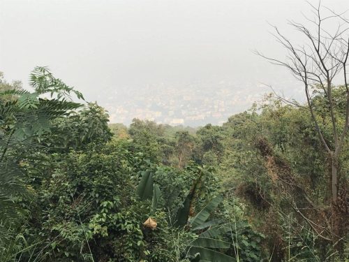 182266db-566b-46e2-8947-1fa05e756619