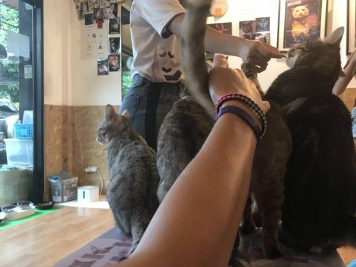 2804f598-18c7-48b5-813d-c8f85f163ad0