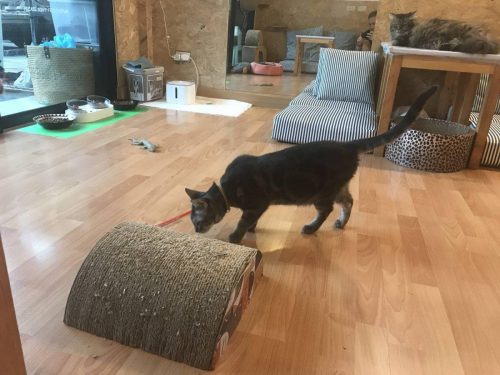 30ba5623-f5ae-4eca-91e9-727b4a3c0c80