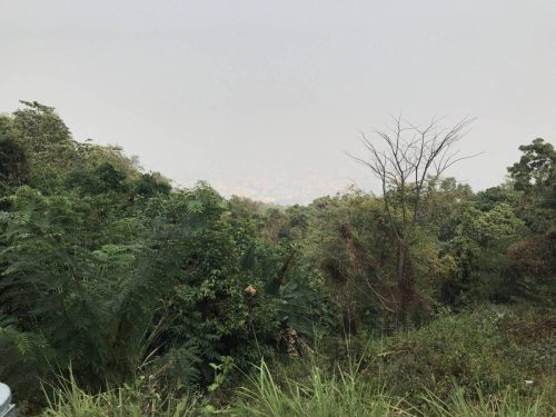 3135f6b6-aacb-4c87-aa70-3c57db561721