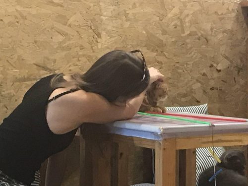 36a42d0b-8488-476c-8718-bbc4f0d0b4c7