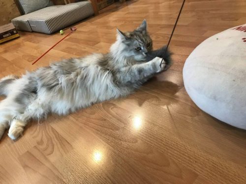 3b20a16a-182b-4eba-a098-d64fcf877e0e