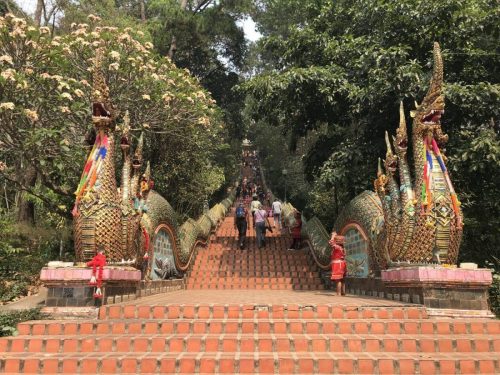 486e4490-5d95-42c5-9ed6-37bc7afd9635