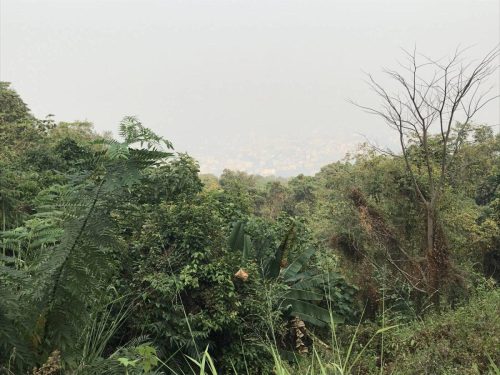 4aa8074f-3cb7-426a-b9e1-447cdba7533c