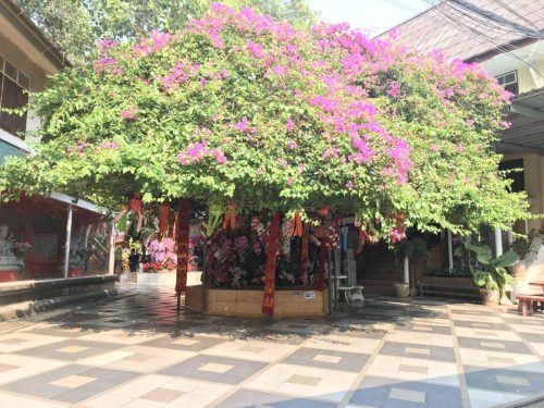 60691a59-5db1-427d-bc91-11776dd7e77f