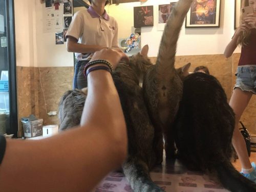 6cf7458b-f49e-425b-be6a-0130f11e0cb1