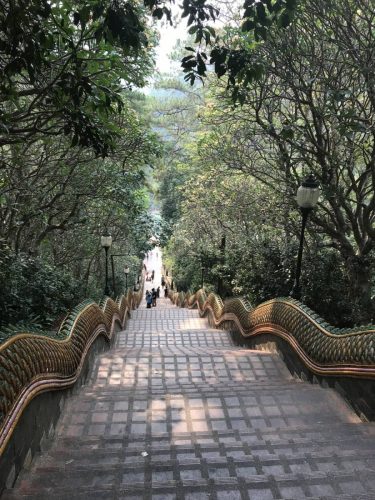 7c208bd4-b1a8-4b50-93cb-5b22d0c5b966