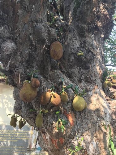 7ea48845-ff31-46d6-8eb6-74babdbb4a28