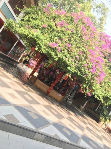 88ff70c5-4659-4005-965d-9506dd549b09